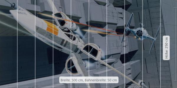 Fototapete DX10-067 - 500 x 250 cm - versandkostenfrei
